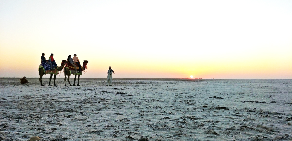 Little Rann of Kutch