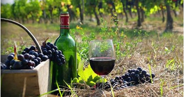 Visit Best Wine-Producing Regions In Australia